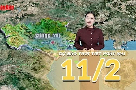 [Video] Dự báo thời tiết đêm nay và ngày mai 11/2/2026: Bắc Bộ mưa phùn và sương mù, Nam Bộ đón mưa trái mùa