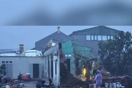 Bản tin thời sự sáng 7/11/2025: Bão số 13 đổ bộ vào khu vực từ Quảng Ngãi đến Gia Lai