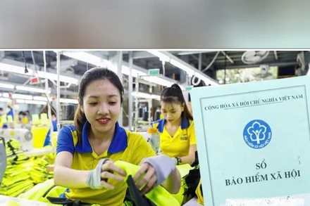 Bản tin thời sự sáng 19/11/2025: Hà Nội hỗ trợ 60.000 lao động dịp tết Nguyên đán 2026