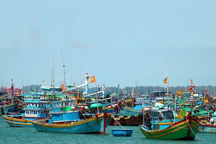 Bản tin thời sự sáng 26/2/2026: Thanh tra EC sắp vào Việt Nam kiểm tra IUU lần thứ 5