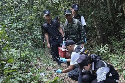 Bản tin thời sự sáng 25/2/2026: Thái Lan - Campuchia đấu súng phóng lựu qua biên giới