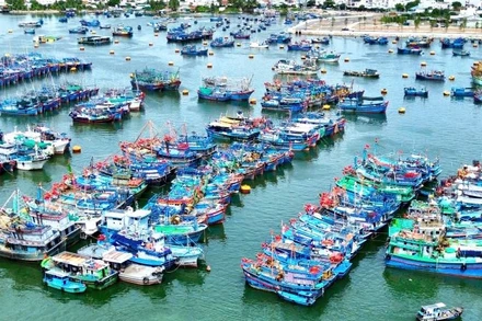 Tàu cá neo đậu tại tại cảng Hòn Rớ để tránh bão.