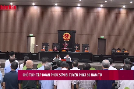 [Video] Chủ tịch Tập đoàn Phúc Sơn bị tuyên phạt 30 năm tù