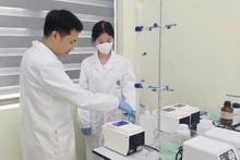 Mô hình công nghệ FBHC thu hồi ni tơ, phốt pho, trong nước thải nuôi lợn quy mô phòng thí nghiệm.