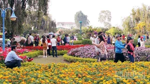 Du khách trải nghiệm vườn hoa trên địa bàn phường Lâm Viên, Đà Lạt.