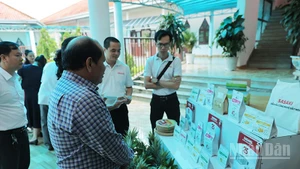 Đại biểu tham quan gian hàng trưng bày các sản phẩm nông nghiệp đặc trưng của huyện Đam Rông bên lề hội thảo.