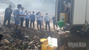 Lực lượng chức năng tiến hành tiêu hủy gần 500kg thực phẩm đông lạnh không rõ nguồn gốc.