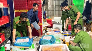 Lực lượng chức năng phát hiện và thu giữ nhiều thực phẩm đông lạnh không có nguồn gốc xuất xứ.