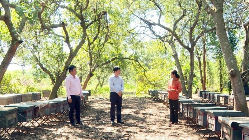 Bà Hoàng Thị Khôi, một trong những hộ dân tộc Tày ở xã Thiện Hưng, tỉnh Đồng Nai vay vốn tín dụng chính sách để nuôi dê, chăm sóc được vườn tiêu và nuôi ong lấy mật, thu nhập khoảng 150 triệu đồng/năm.