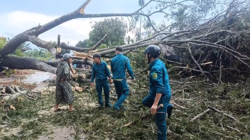 Lực lượng dân quân xã Tân Hưng, tỉnh Đồng Nai khắc phục hậu quả thiên tai.