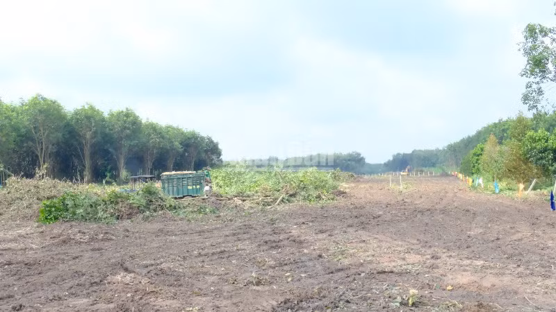 Mặt bằng cao tốc Thành phố Hồ Chí Minh-Thủ Dầu Một-Chơn Thành đoạn qua tỉnh Bình Phước được giải phóng.