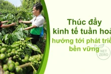 Thúc đẩy kinh tế tuần hoàn hướng tới phát triển bền vững