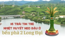 16 trái tim trẻ nhiệt huyết neo đậu ở bến phà 2 Long Đại