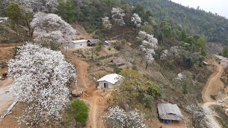 Là vùng đất có nhiều hoa ban - loài hoa đặc trưng của núi rừng Tây Bắc, bởi vậy tỉnh Điện Biên thường tổ chức Lễ hội Hoa Ban vào dịp tháng 3 hằng năm, khi hoa ban bung nở khắp núi đồi. 