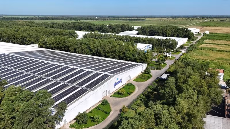 Năng lượng mặt trời đã phủ các nhà máy, trang trại của Vinamilk, cùng với các năng lượng xanh như Biomass, CNG, Biogas với tỷ lệ sử dụng ngày càng tăng