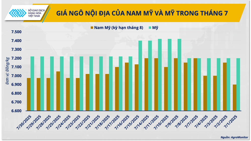 Giá ngô nội địa của Nam Mỹ và Mỹ trong tháng 7 anh-2-gia-ngo-noi-dia-cua-nam-my-va-my-trong-thang-7.png