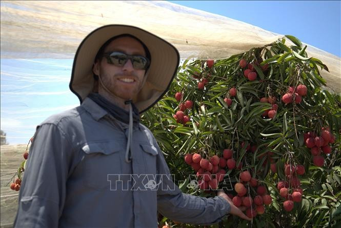 Anh Uri Shpatz, trưởng nhóm nông học của Bananot Hahof - hợp tác xã đang triển khai trồng giống vải thiều Hong Long (Hồng Long) hay còn gọi là giống vải U Hồng cùa Việt Nam từ năm 2016. Anh Uri Shpatz, trưởng nhóm nông học của Bananot Hahof - hợp tác xã đang triển khai trồng giống vải thiều Hong Long (Hồng Long) hay còn gọi là giống vải U Hồng cùa Việt Nam từ năm 2016.