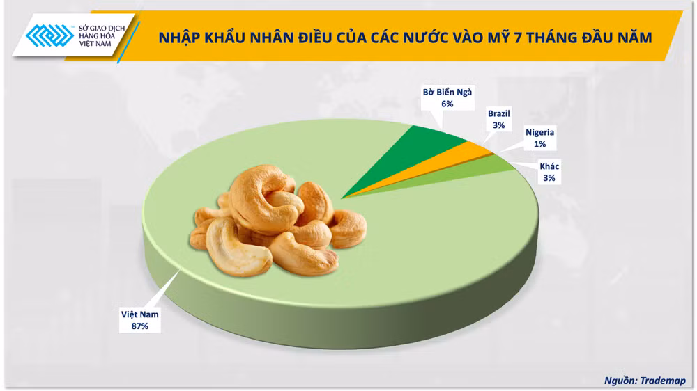 anh-1-nhap-khau-nhan-dieu-cua-cac-nuoc-vao-my-7-thang-dau-nam.png