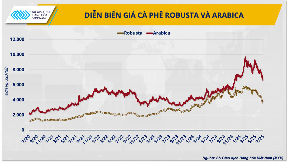 anh-1-dien-bien-gia-ca-phe-robusta-va-arabica.png