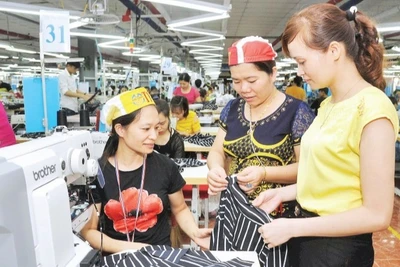 May quần áo xuất khẩu tại Công ty cổ phần Tổng Công ty may Bắc Giang (Bắc Ninh). (Ảnh: KHÁNH AN)