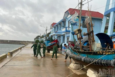 Cán bộ, chiến sĩ trên đảo Cồn Cỏ hỗ trợ di dời tàu thuyền vào nơi tránh bão.