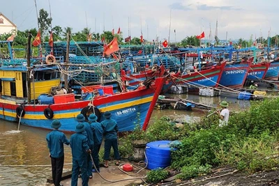 Lực lượng chức năng xã Tiên Trang hướng dẫn, hỗ trợ chủ tàu neo đậu phương tiện an toàn, tránh va đập.