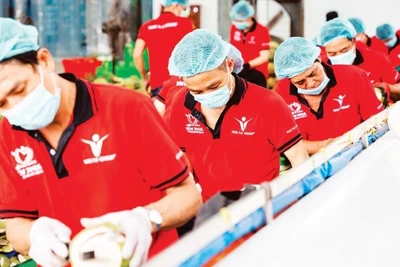 Sơ chế dừa xuất khẩu tại Công ty Vina T&T Group. (Ảnh: MINH ANH)