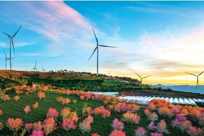 Lê Hoàng Mến (Việt Nam) Du lịch xanh - Green tourism.