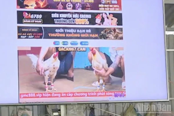 Tang vật dùng để phát trực tuyến các trận đá gà.