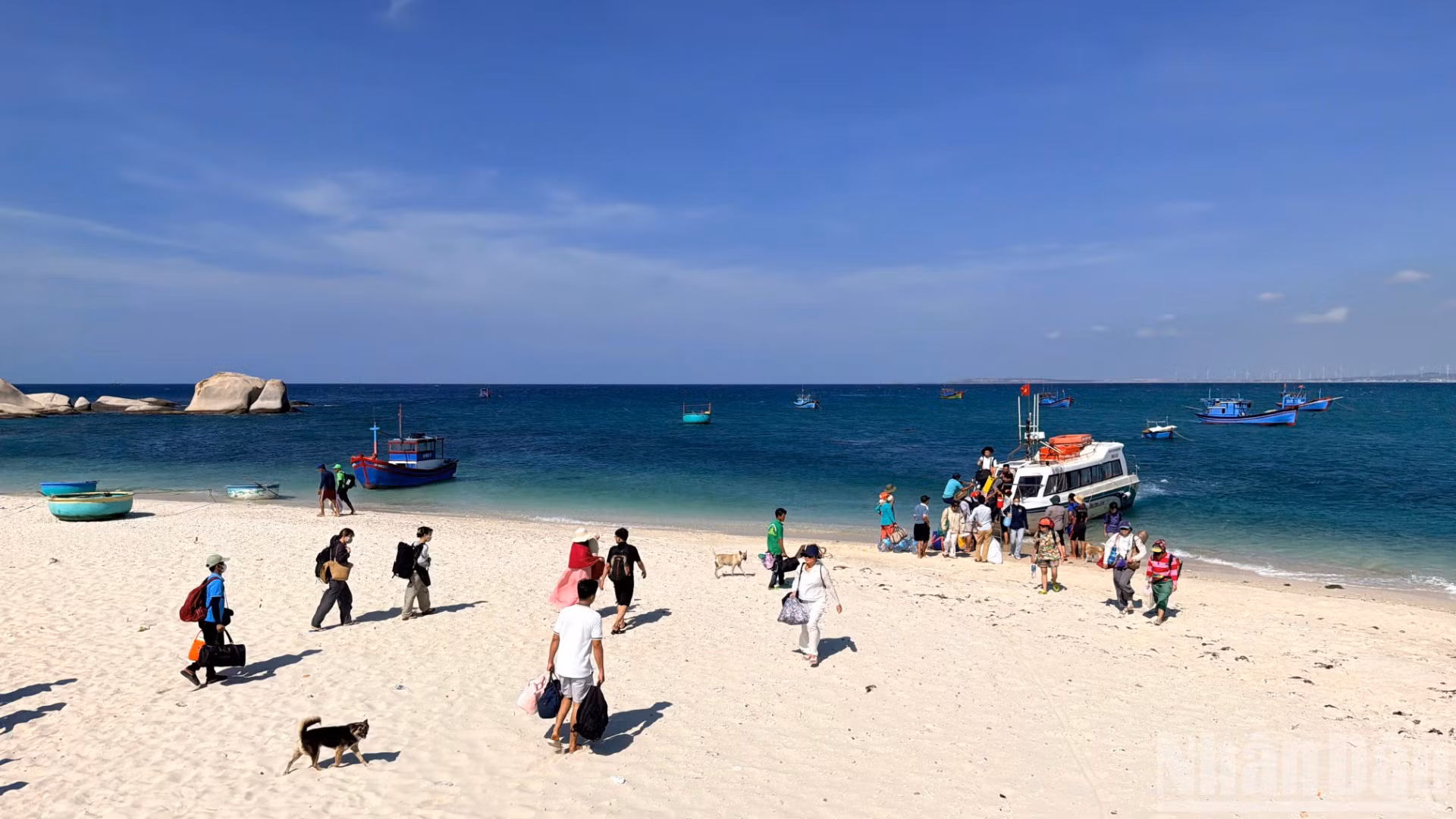 ndo_br_anh-8-4646.jpg