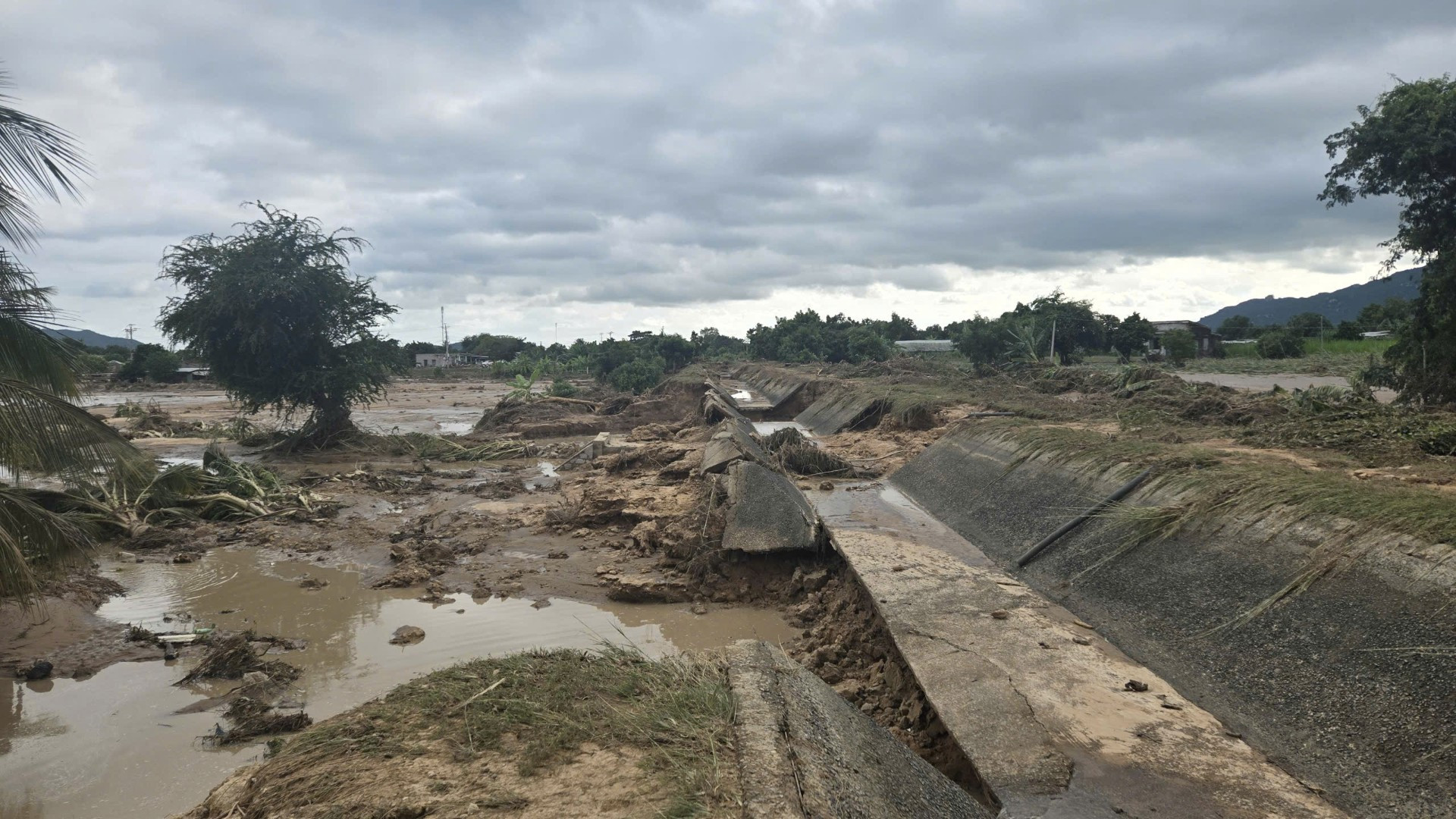 Obras de trânsito danificadas. 77aae7775a20d67e8f31-1489.jpg