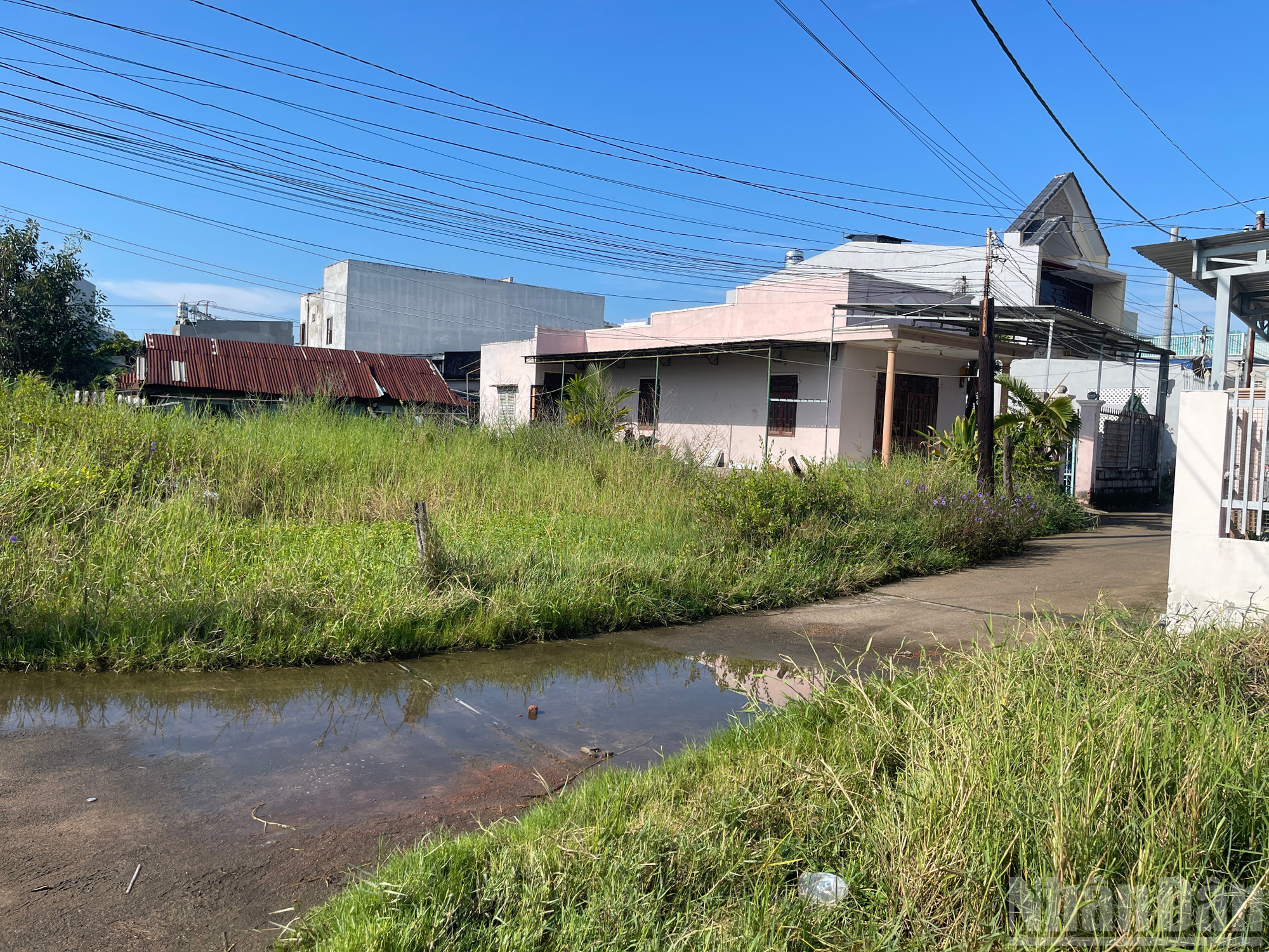 Dự án khu dân cư phía nam đường Lê Duẩn chậm tiến độ nên bụi cỏ mọc um tùm.