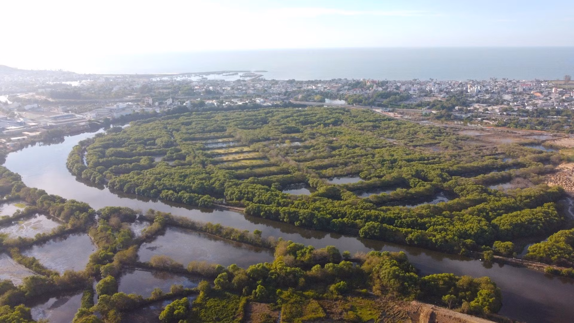 Dự án công viên Hùng Vương sinh thái, ngập mặn.