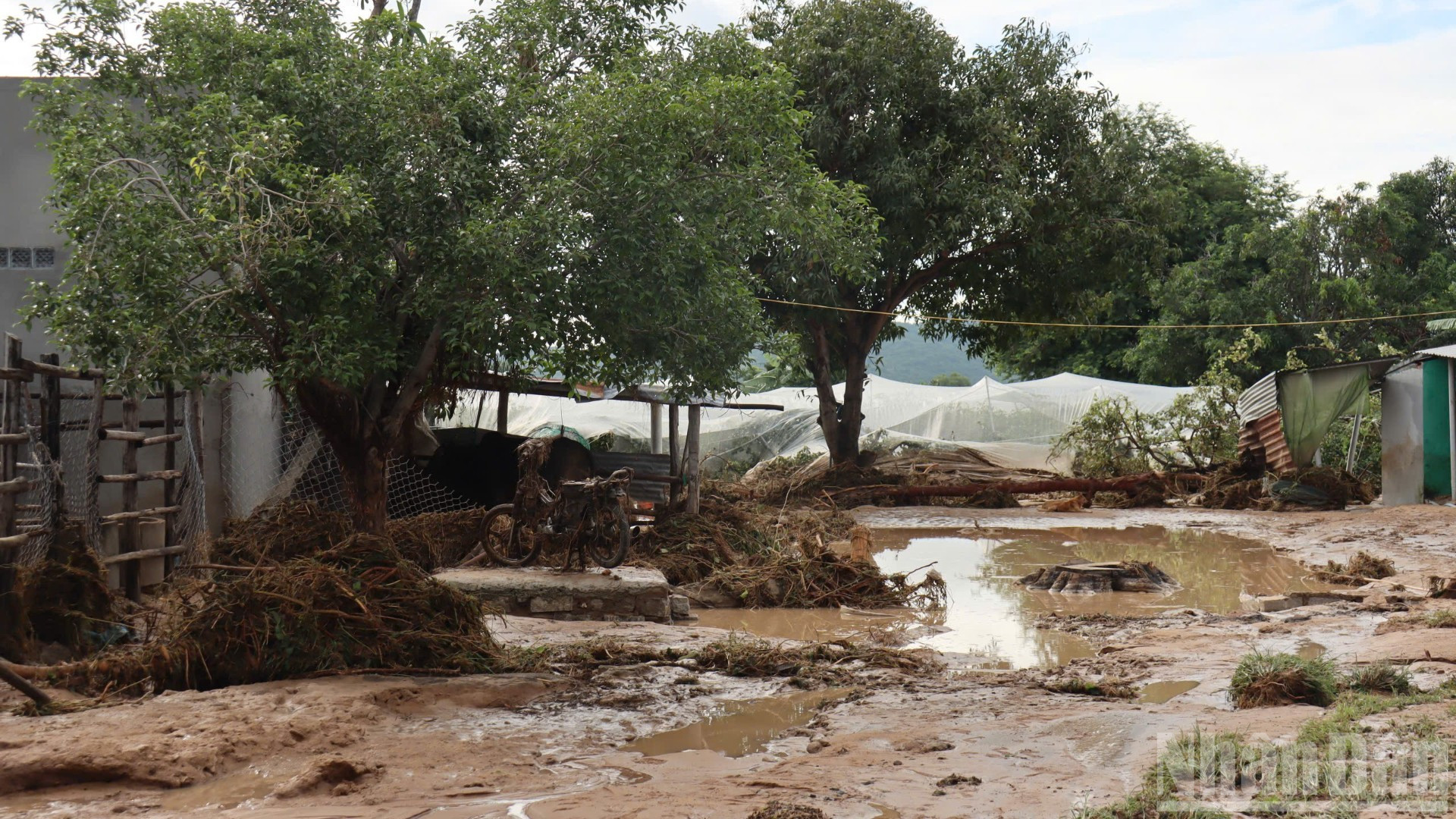 A lama invade as casas das pessoas. ndo_br_e43039890cc3809dd9d2-3341.jpg