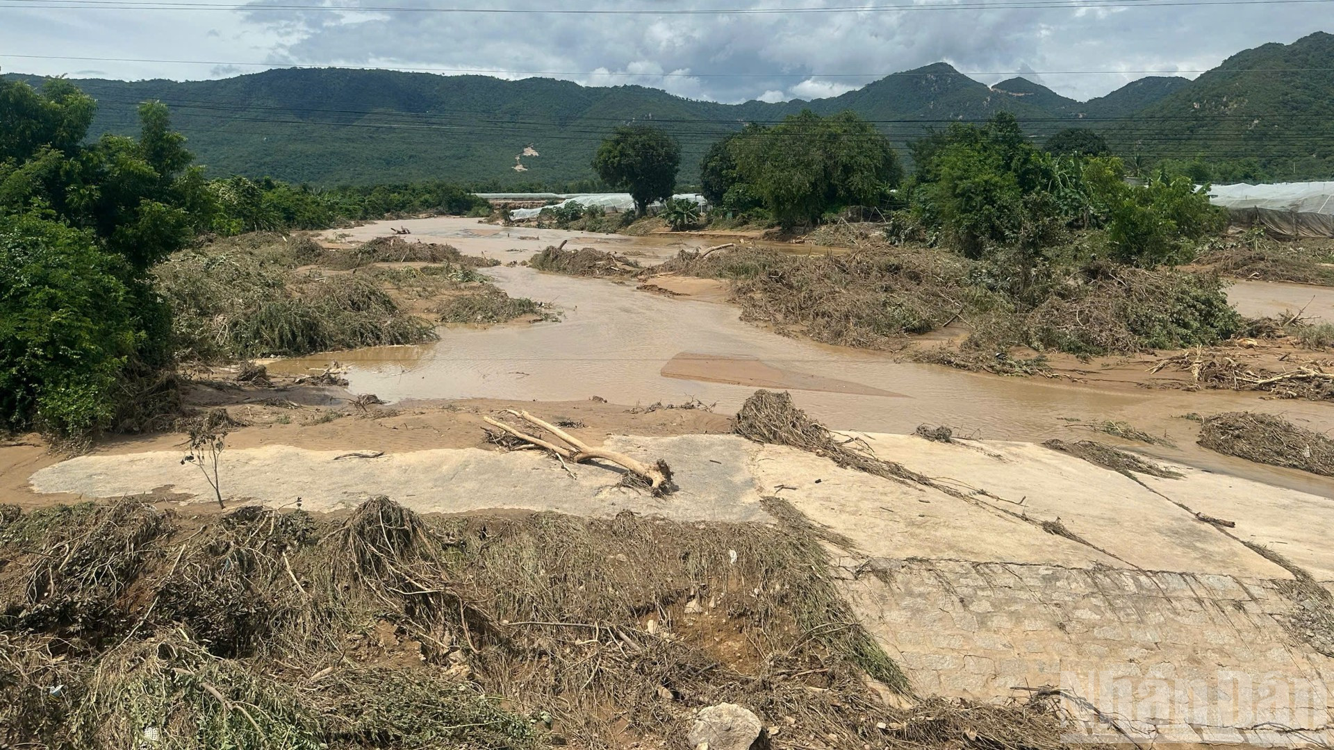 As águas da enchente arrancaram e destruíram as plantações. ndo_br_81352640063700731-6344.jpg