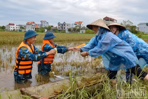Các địa phương ven biển chủ động ứng phó với bão số 4 mạnh cấp 8.