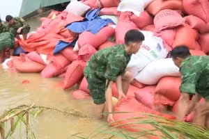 Phó Thủ tướng Hồ Quốc Dũng ký Công điện số 57/CĐ-TTg yêu cầu chủ động ứng phó áp thấp nhiệt đới, khắc phục nhanh hậu quả mưa lũ. (Ảnh: Nhandan.vn)