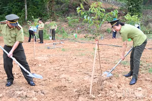 Thoái hóa đất đe dọa sản xuất nông nghiệp, sinh kế và an ninh lương thực, đòi hỏi thay đổi cách ứng xử, tôn trọng giới hạn sinh thái và bảo vệ đất như nguồn vốn tự nhiên cho tương lai.