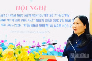 Đồng chí Vũ Thị Hiền Hạnh, Phó Chủ tịch Ủy ban nhân dân tỉnh phát biểu tại hội nghị. (Ảnh: THANH SƠN)
