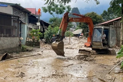 (Ảnh minh họa: TUẤN SƠN)