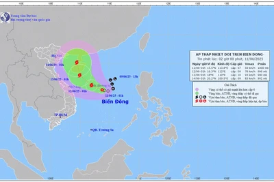 Bản đồ dự báo quỹ đạo và cường độ áp thấp nhiệt đới lúc 2 giờ sáng 11/6. (Ảnh: Trung tâm Dự báo khí tượng thủy văn quốc gia)