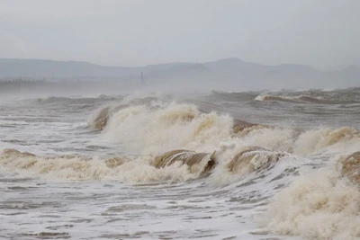 Ảnh minh họa. (Nguồn: TTXVN)