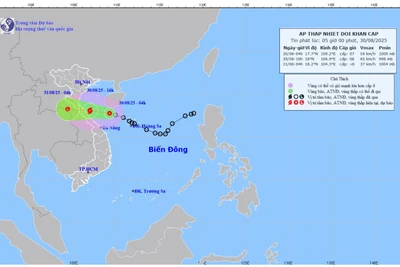 Bản đồ dự báo quỹ đạo và cường độ áp thấp nhiệt đới lúc 5 giờ sáng 30/8/2025. (Ảnh: Trung tâm Dự báo khí tượng thủy văn quốc gia)