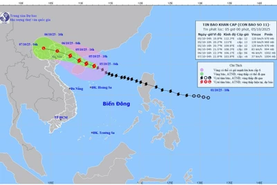 Bản đồ dự báo quỹ đạo và cường độ bão số 11 phát lúc 5 giờ sáng 5/10/2025. (Nguồn: Trung tâm Dự báo khí tượng thủy văn quốc gia)