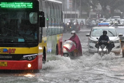 (Ảnh: THÀNH ĐẠT)