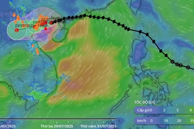 (Ảnh: Hệ thống Giám sát thiên tai Việt Nam)