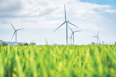 Sải bước tự do thương mại với các FTA thế hệ mới