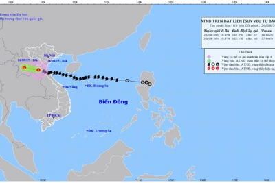 Bản đồ dự báo quỹ đạo và cường độ bão số 5 phát lúc 5 giờ ngày 26/8/2025. (Ảnh: Trung tâm Dự báo khí tượng thủy văn quốc gia)