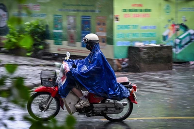 (Ảnh minh họa: THÀNH ĐẠT)