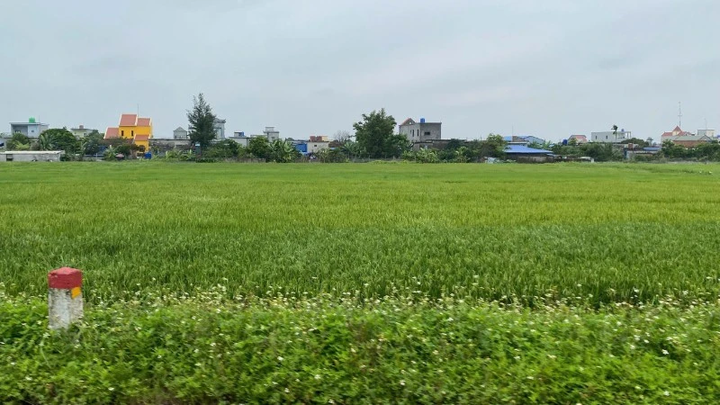 Có chính sách tạm cư phù hợp bảo đảm quyền lợi người dân bị thu hồi đất.